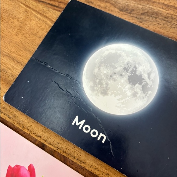 Lovevery Things I See cards from the Inspector (7-8 months) kit - Picture 5 of 7